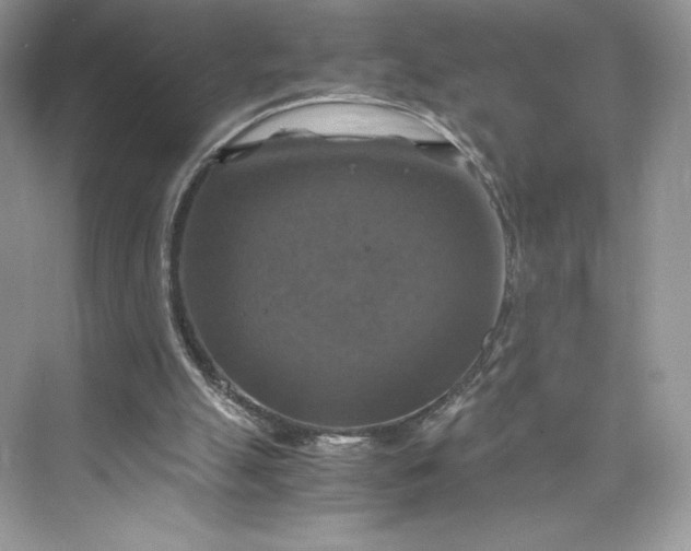 X0000075820055200609291421