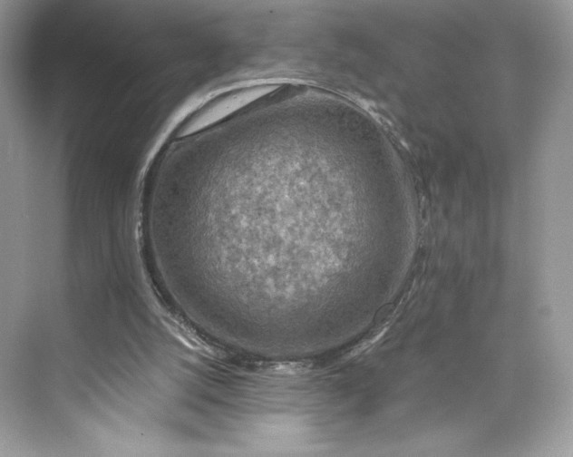 X0000075820056200609291421