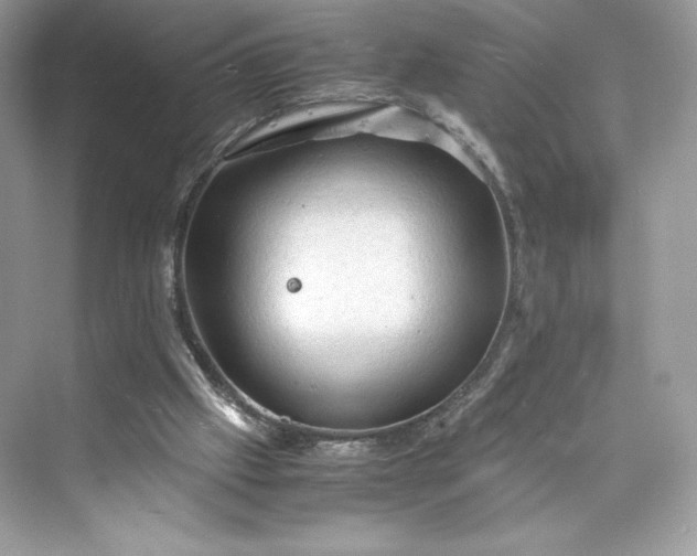 X0000075820057200609291421