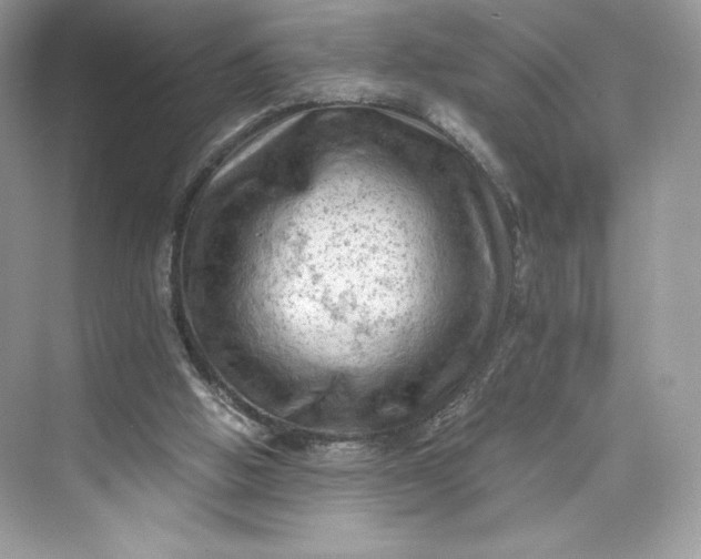 X0000075820058200609291421