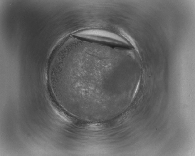 X0000075820059200609291421