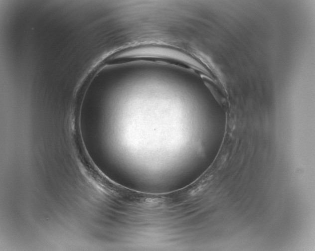 X0000075820060200609291421