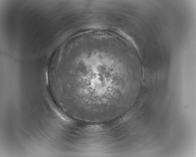 X0000075820061200609291421