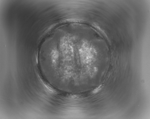 X0000075820062200609291421