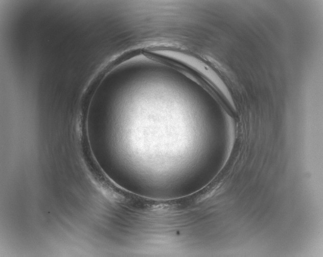 X0000075820064200609291422