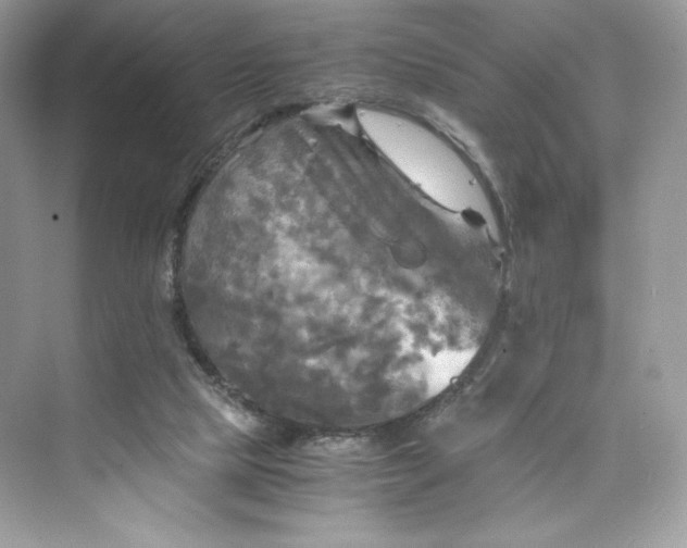 X0000075820065200609291422