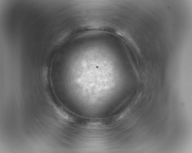 X0000075820066200609291422