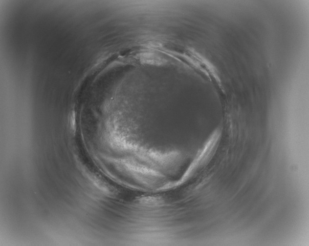 X0000075820067200609291422