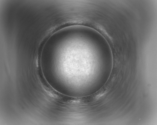 X0000075820068200609291422