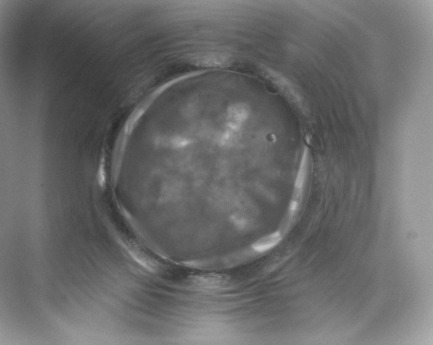 X0000075820069200609291422