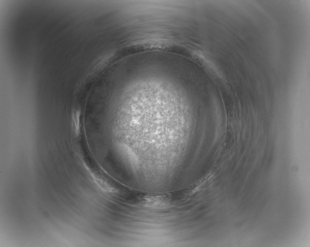 X0000075820070200609291422