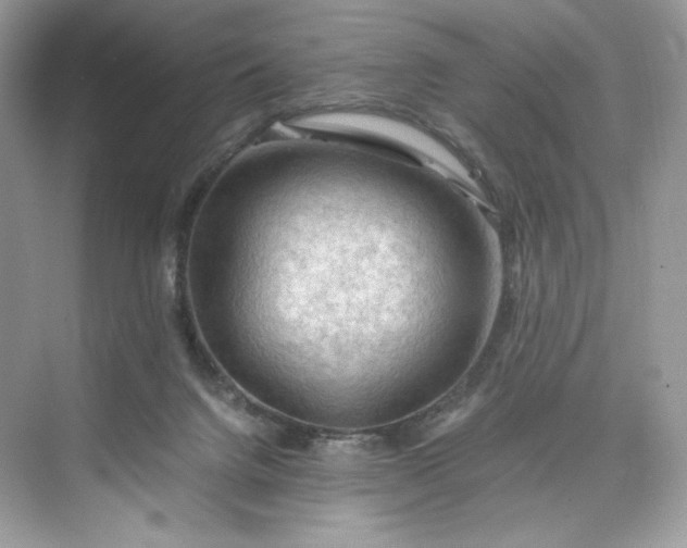 X0000075820072200609291422