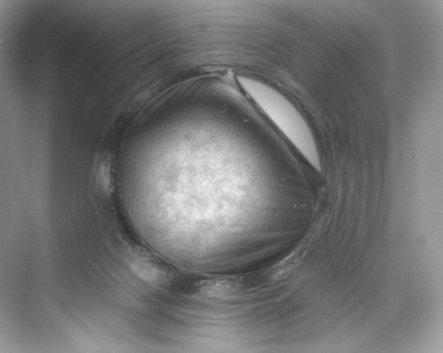 X0000075820074200609291422