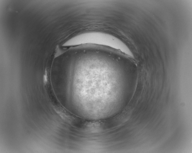 X0000075820075200609291422