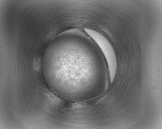 X0000075820077200609291422