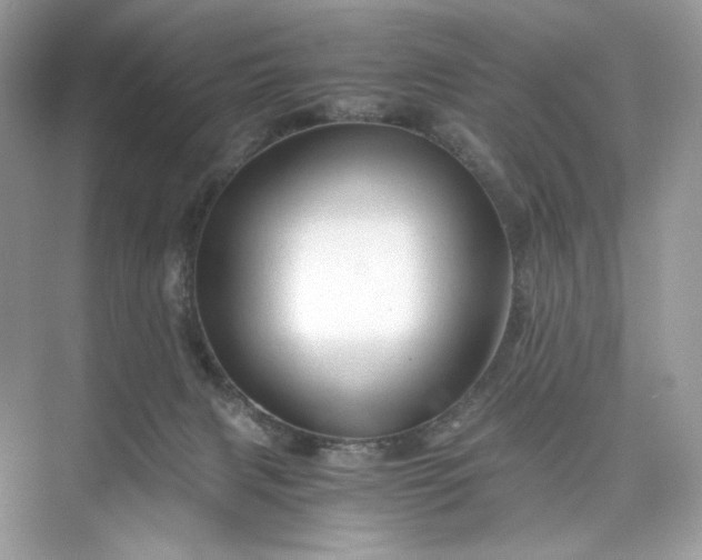 X0000075820079200609291422