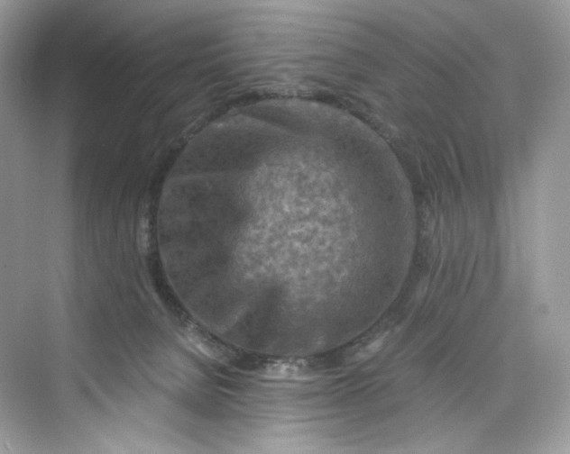 X0000075820080200609291422