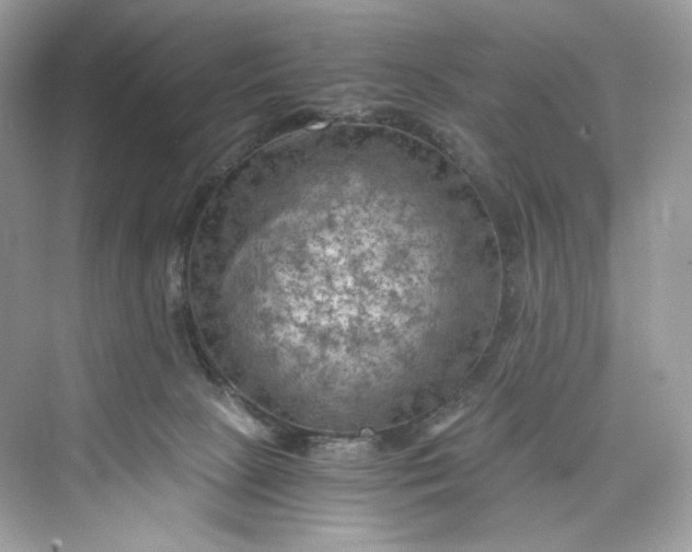 X0000075820081200609291422