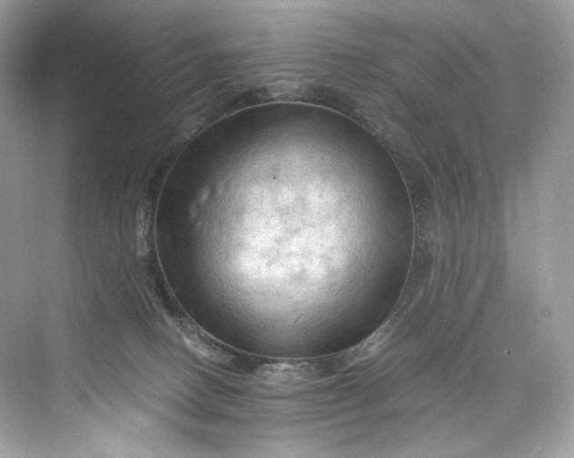 X0000075820082200609291422