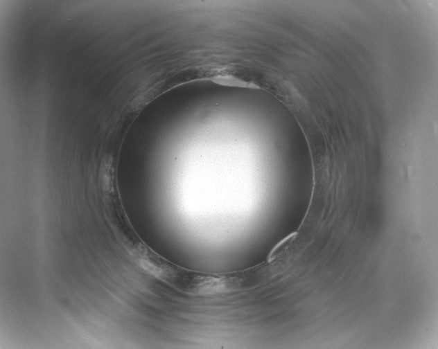 X0000075820083200609291422