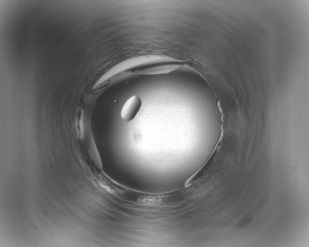 X0000075820084200609291422