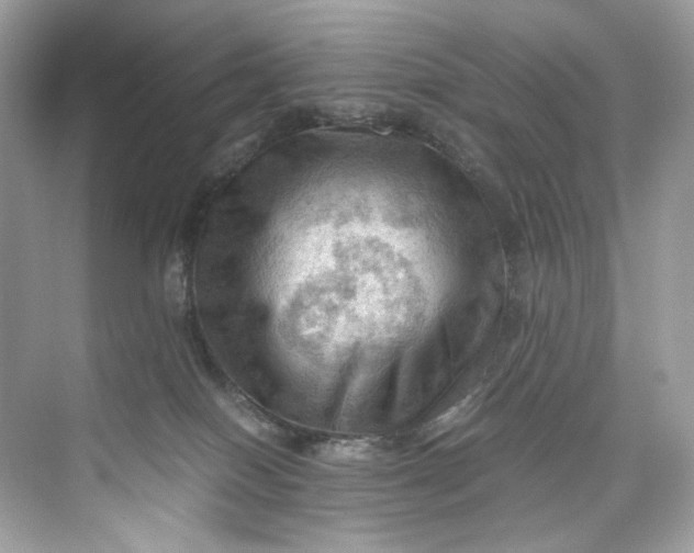 X0000075820086200609291422