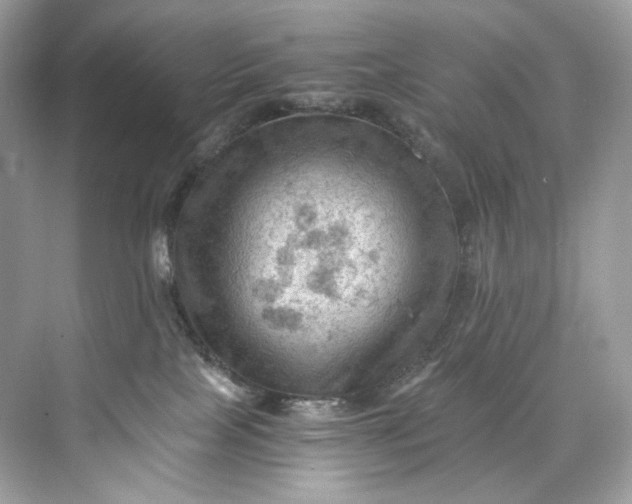 X0000075820089200609291422