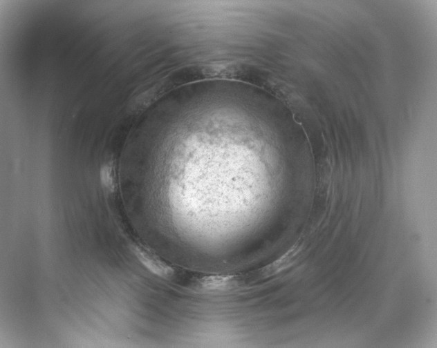 X0000075820090200609291422