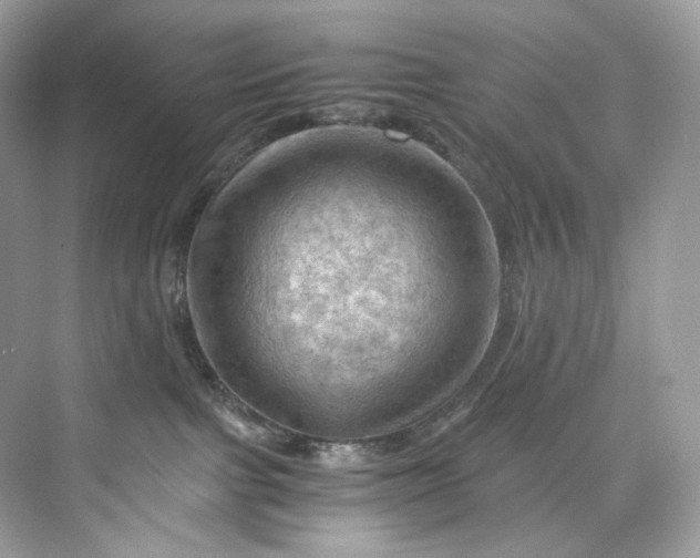 X0000075820091200609291422