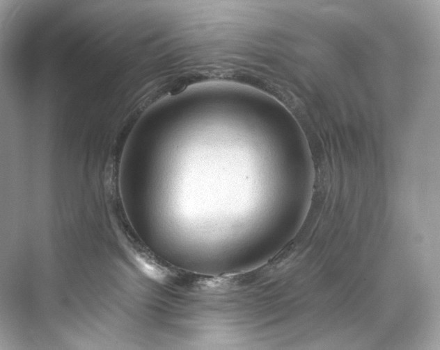 X0000075820092200609291422