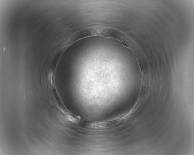 X0000075820094200609291422