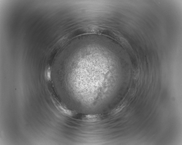 X0000075820095200609291422