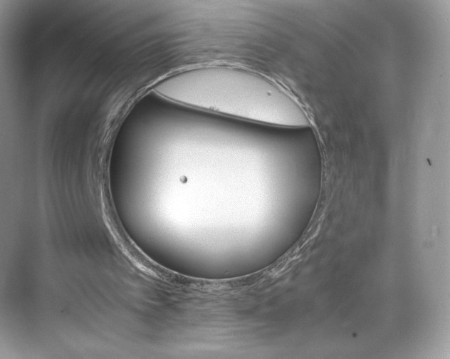 X0000075820097200609291421