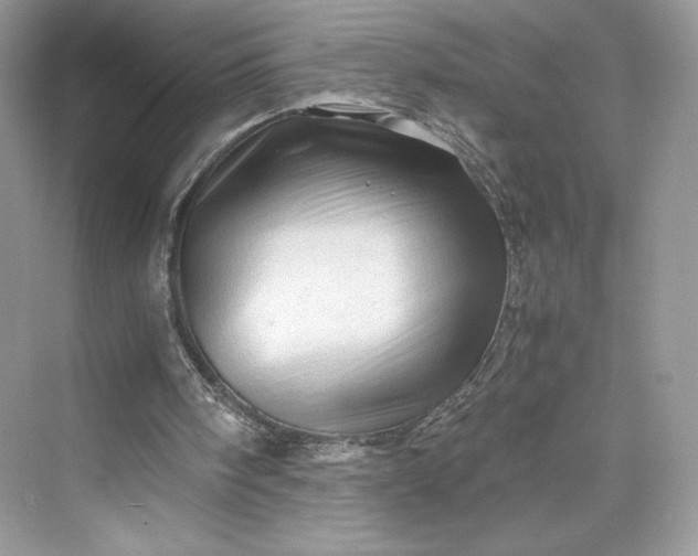 X0000075820098200609291421