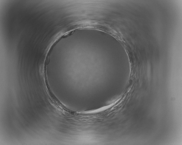 X0000075820099200609291421