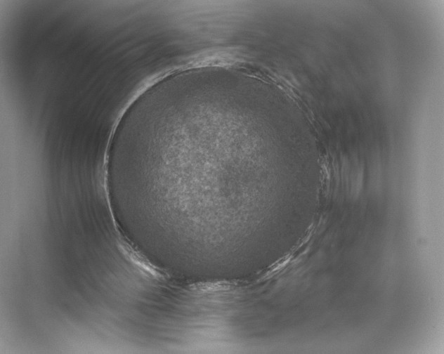 X0000075820100200609291421