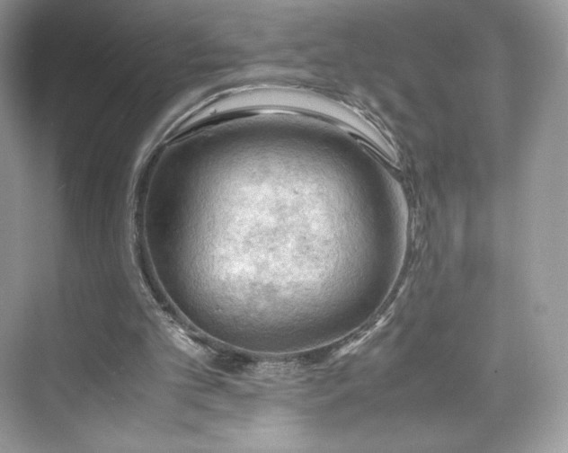 X0000075820101200609291421