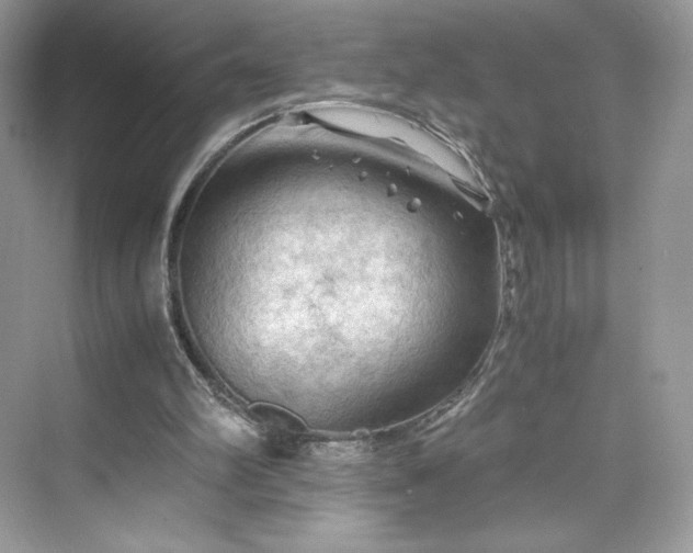 X0000075820102200609291421