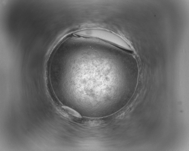 X0000075820103200609291421