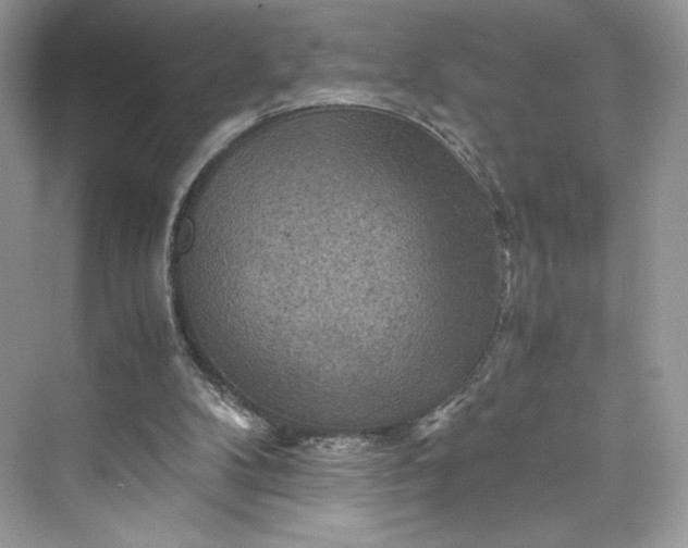 X0000075820104200609291421