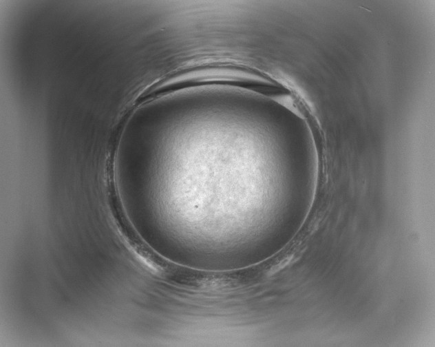 X0000075820105200609291421