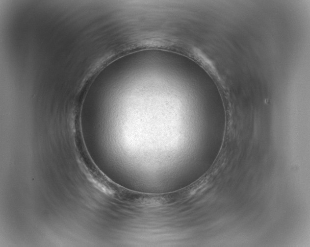 X0000075820106200609291421