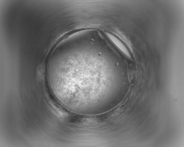 X0000075820107200609291421