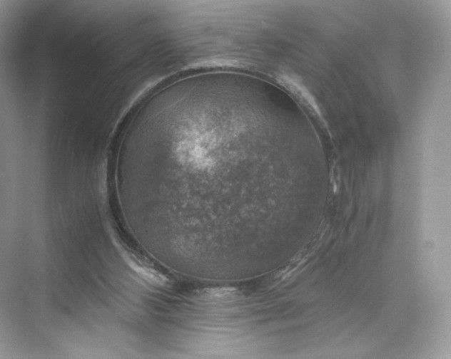 X0000075820108200609291421