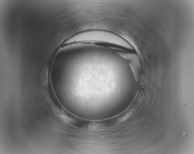 X0000075820109200609291421