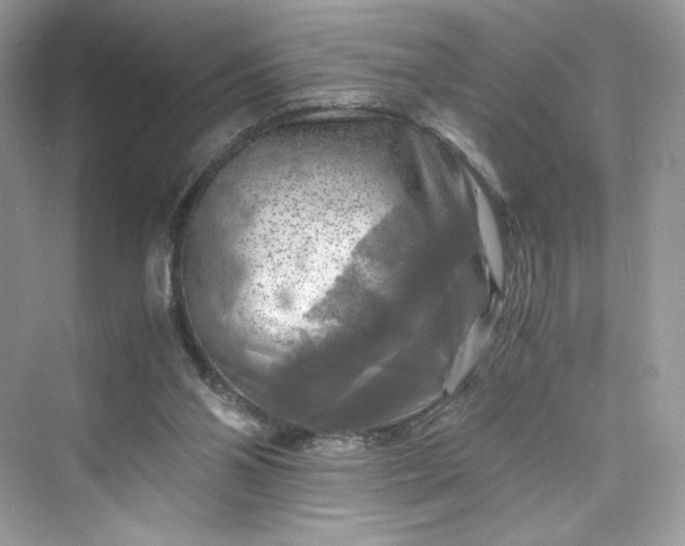 X0000075820110200609291421