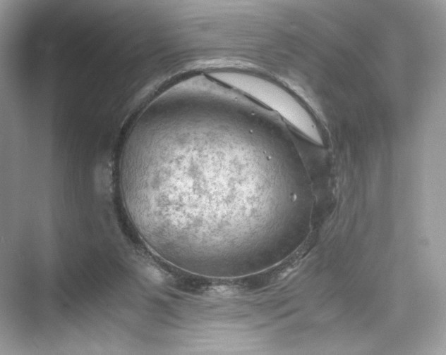 X0000075820111200609291421