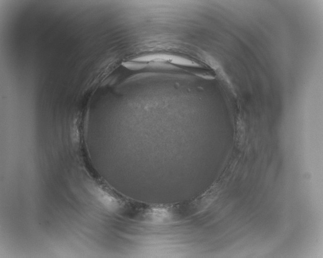 X0000075820114200609291421