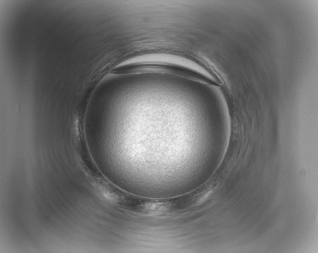 X0000075820117200609291421