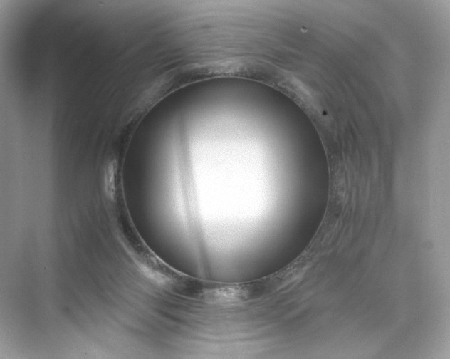 X0000075820118200609291421